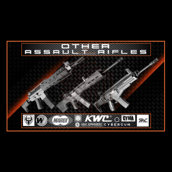 OTHER ASSAULT RIFLES