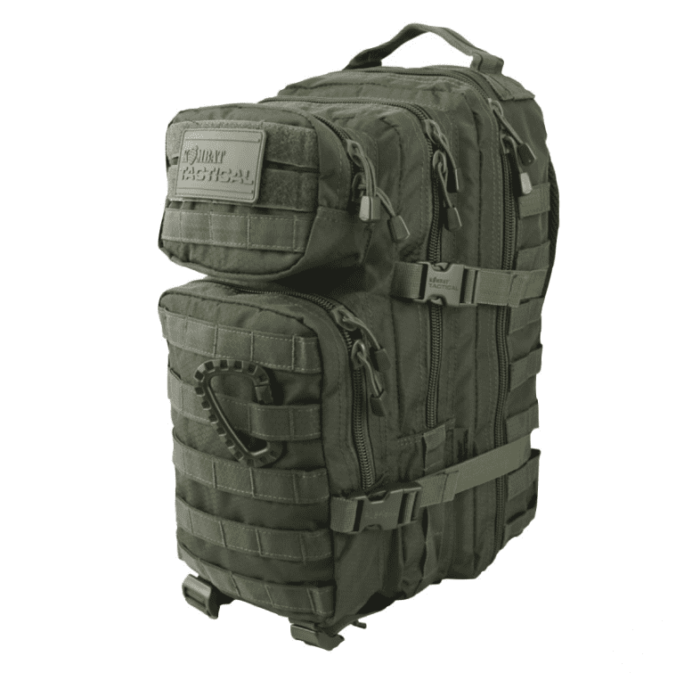 Hex - Stop Small Molle Assault Pack - Olive Green
