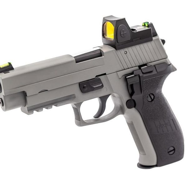 RAVEN R226 GREY & BDS