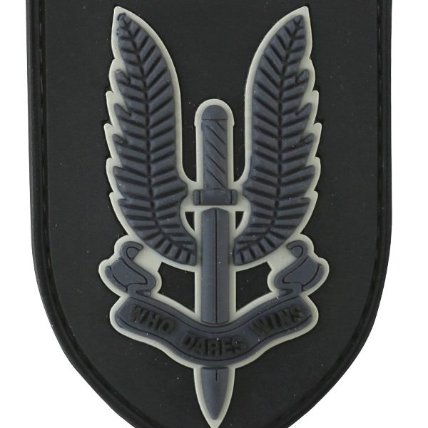 SAS Patch
