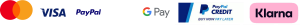 payment icon