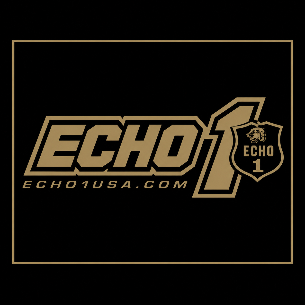 ECHO1