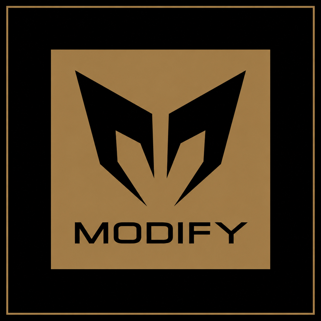 MODIFY AIRSOFT